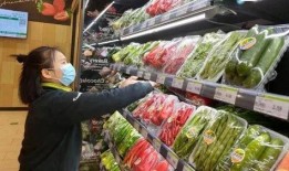 勘探员新角色爆料视频播放,探秘未知世界的幕后英雄